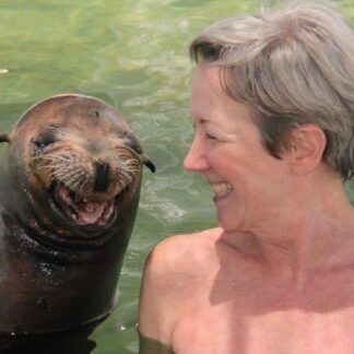 Florida Keys Sea Lion Swim Photo